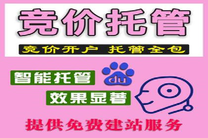 SEM服务助力中小企业案例分析